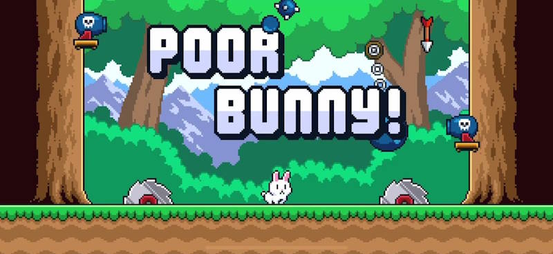 Poor Bunny